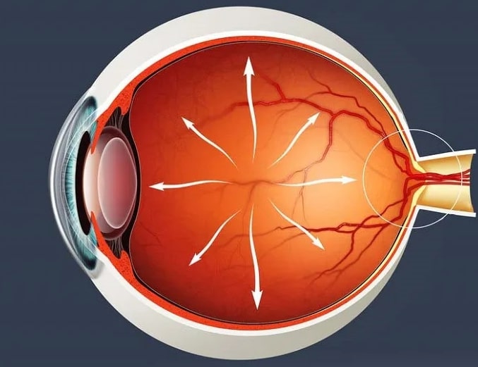 Eyelab gambaran umum